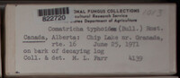 Image Associated With the Occurence